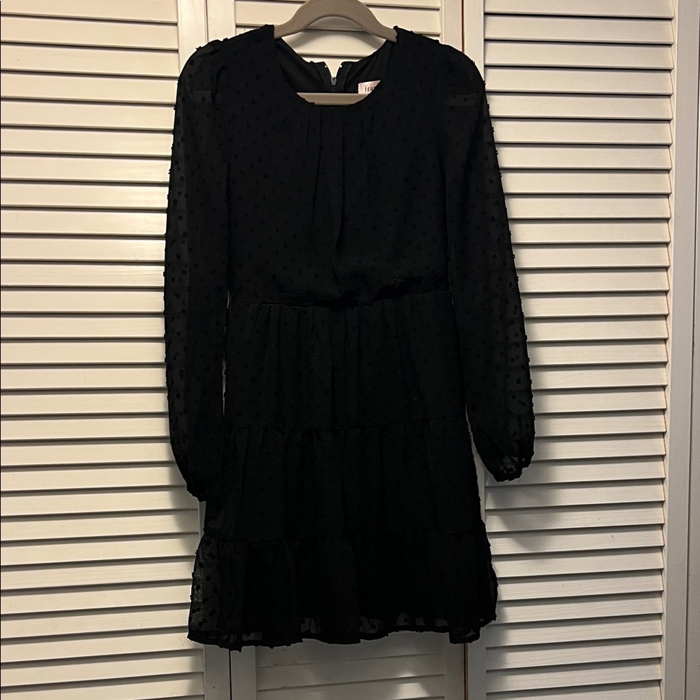 Girls Black Long Sleeve Swiss Dot Dress